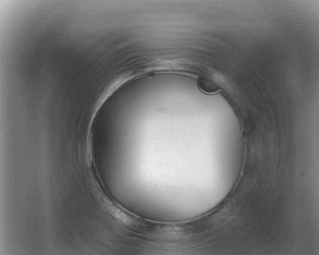 X0000062841370200601171434