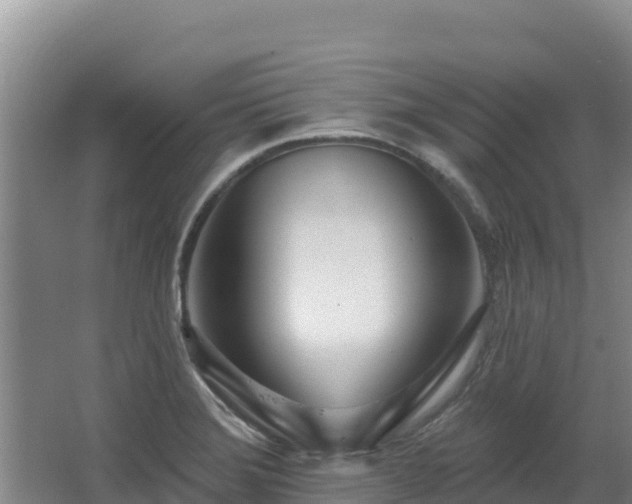 X0000062841372200601171434