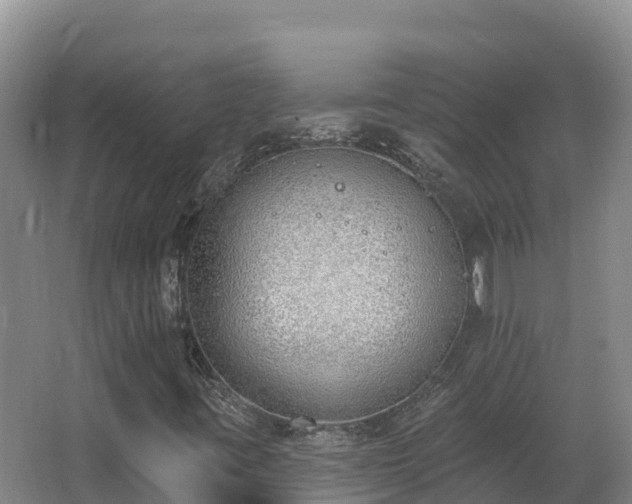 X0000062841395200601171433