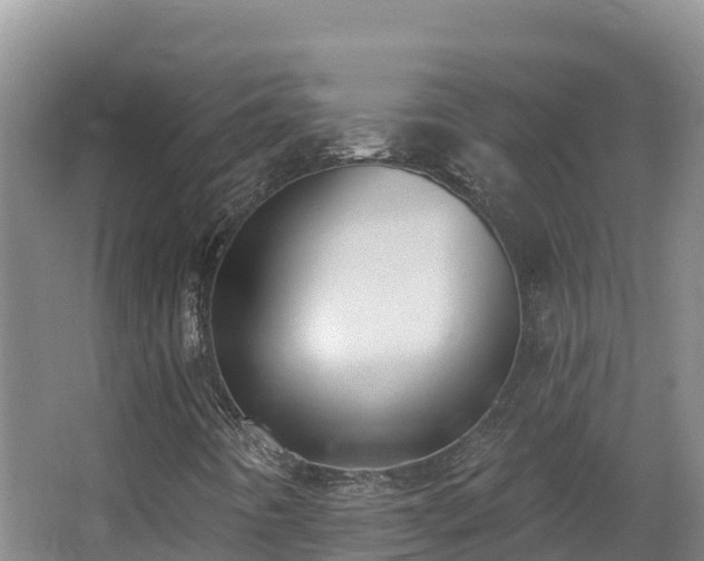 X0000062841442200601171433