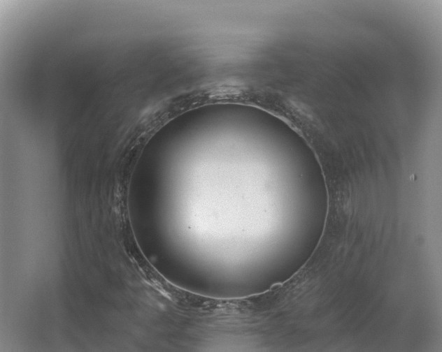 X0000062841445200601171433