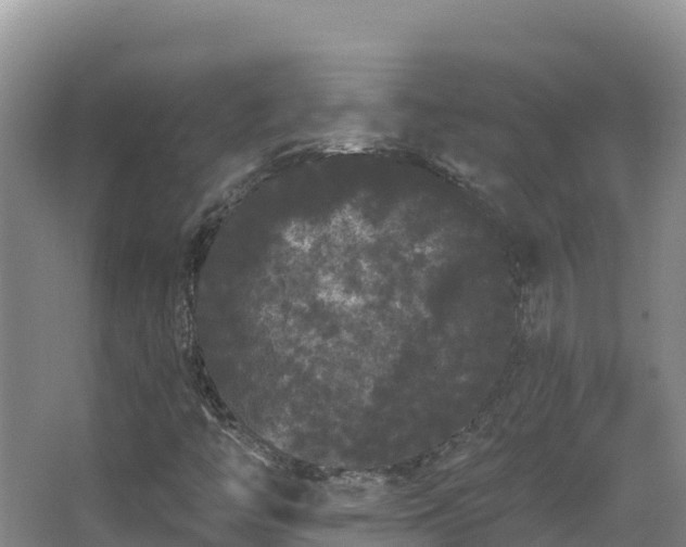 X0000062841446200601171433