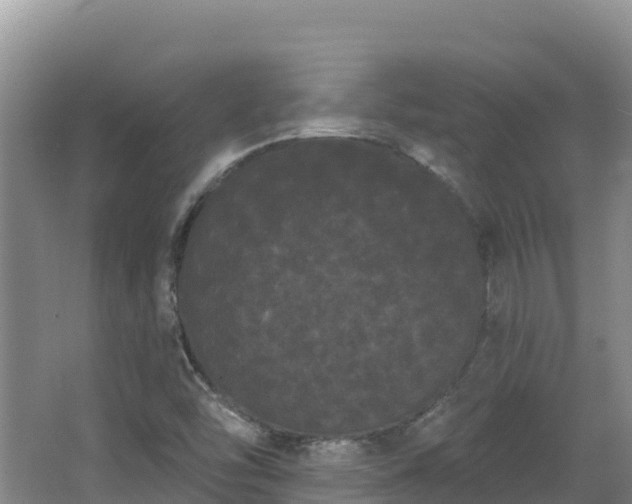 X0000062841454200601171433