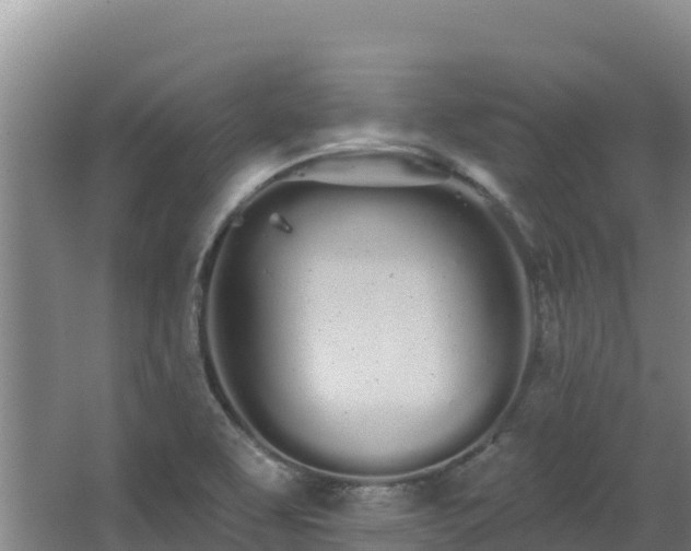 X0000062841463200601171433