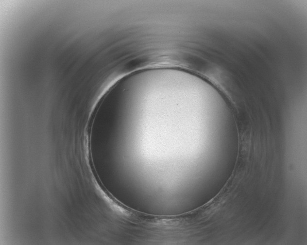 X0000062841476200601171432