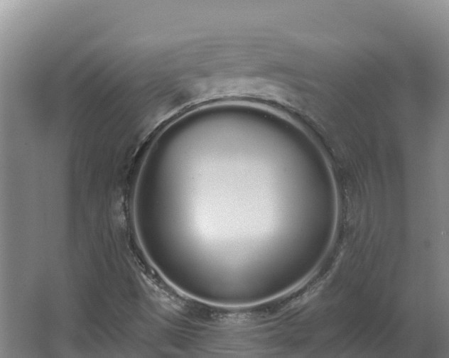 X0000062841497200601171431