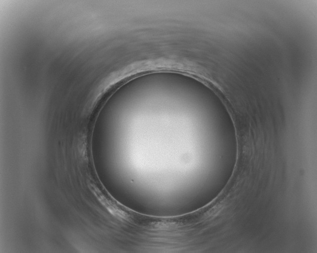 X0000062841499200601171432