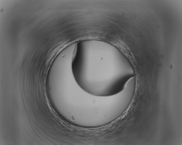 X0000062840001200601201650