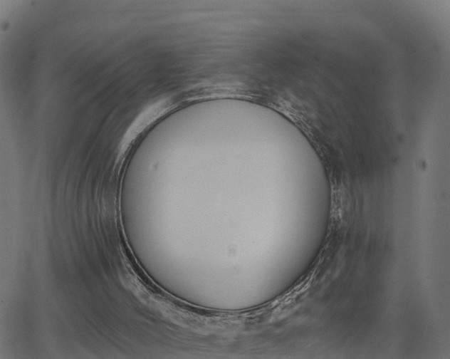 X0000062840004200601201650