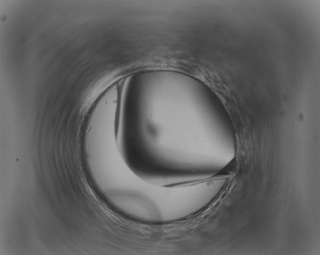 X0000062840005200601201650