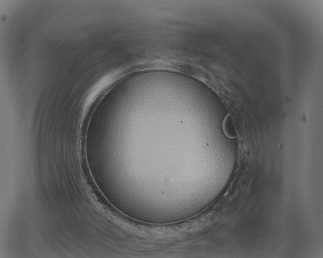 X0000062840006200601201650