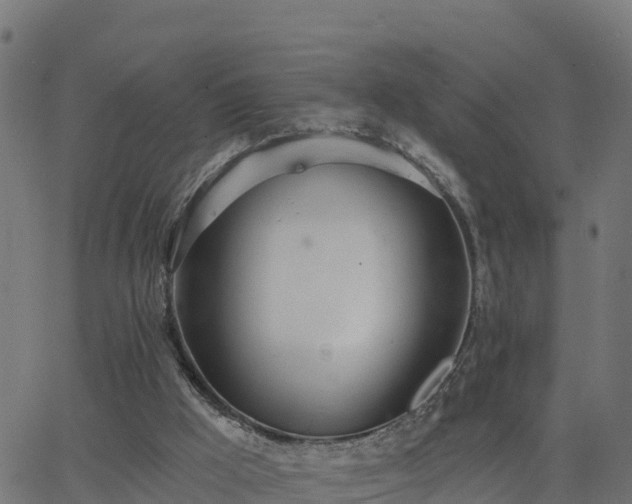 X0000062840009200601201650