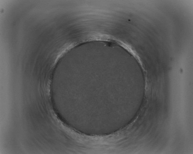 X0000062840010200601201649