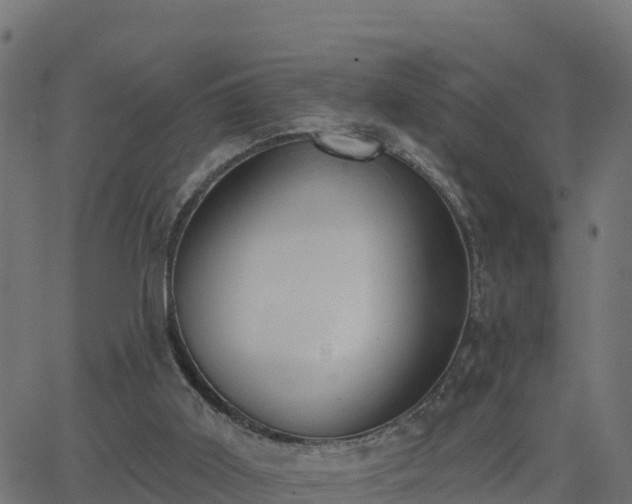 X0000062840011200601201649