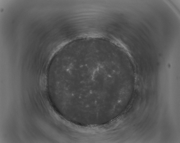 X0000062840012200601201649