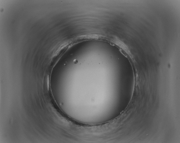 X0000062840013200601201649