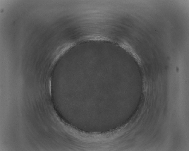 X0000062840014200601201649