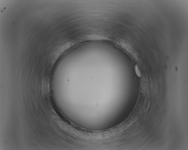 X0000062840015200601201649