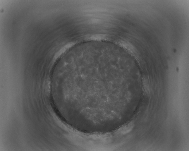 X0000062840016200601201649