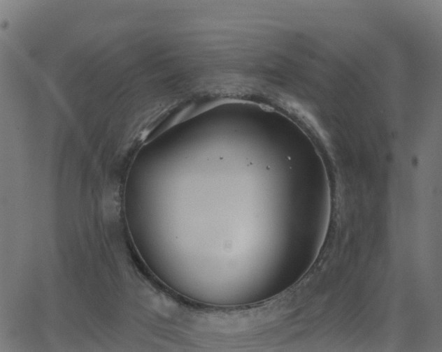 X0000062840017200601201649