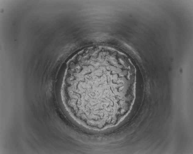 X0000062840018200601201649