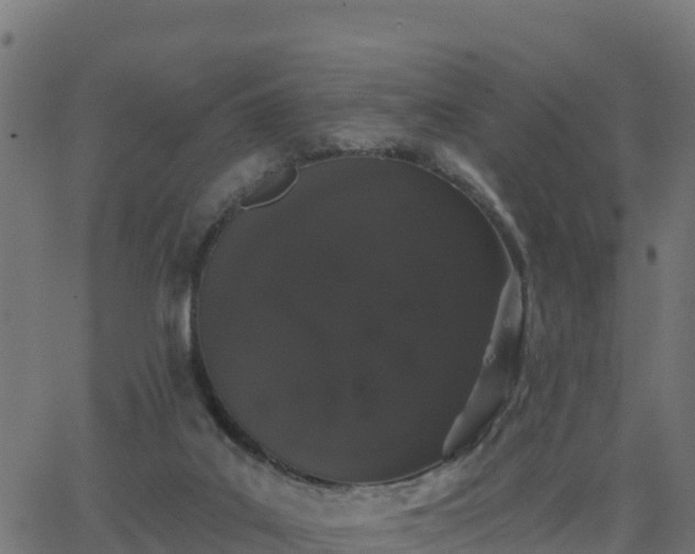 X0000062840019200601201649