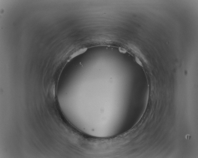 X0000062840021200601201649