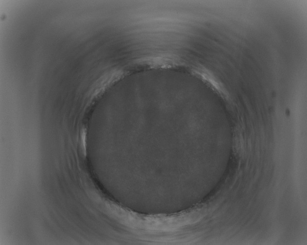 X0000062840022200601201649