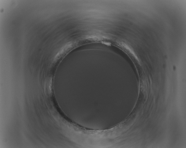 X0000062840023200601201649