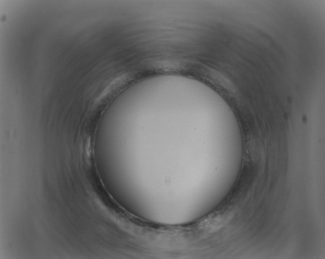 X0000062840024200601201649