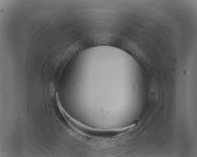 X0000062840025200601201649