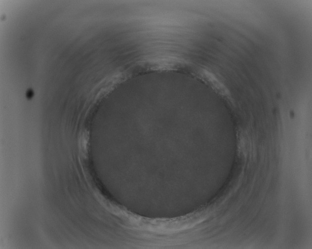 X0000062840026200601201649