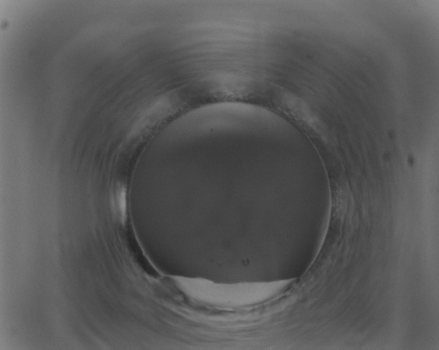 X0000062840027200601201649