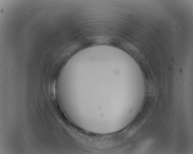 X0000062840028200601201649