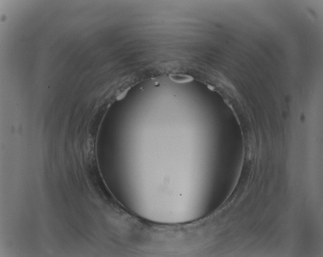 X0000062840029200601201649