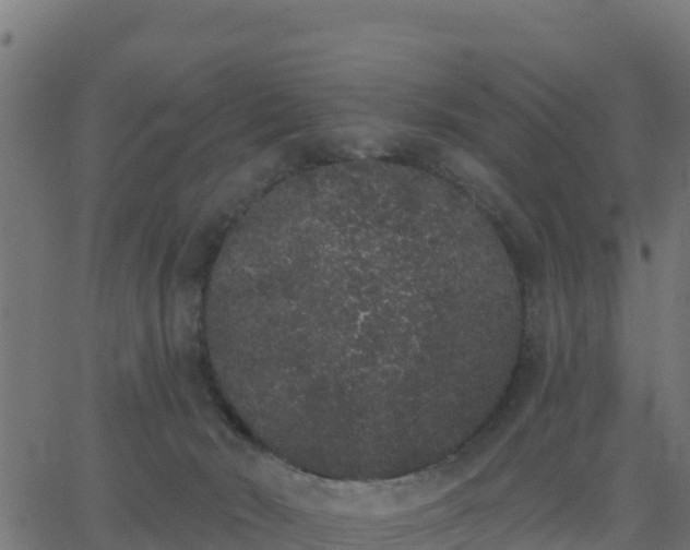 X0000062840030200601201649