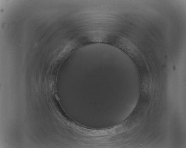 X0000062840031200601201649