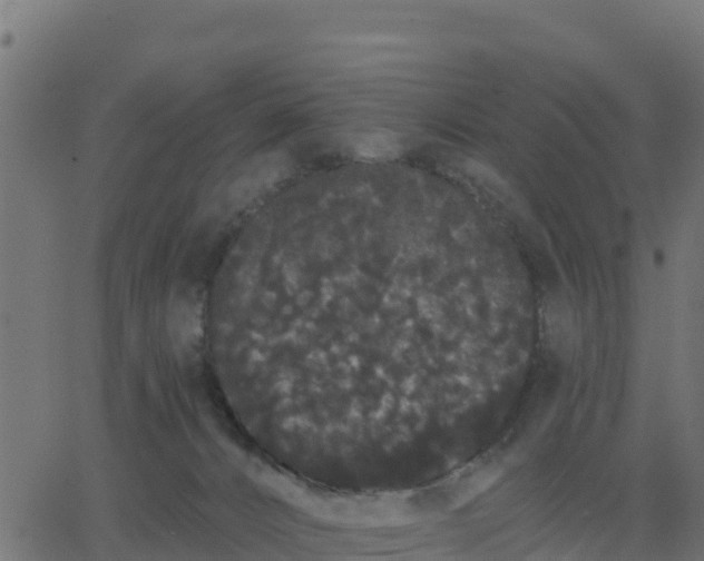 X0000062840032200601201649