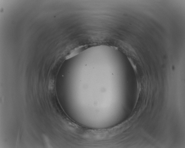 X0000062840033200601201649