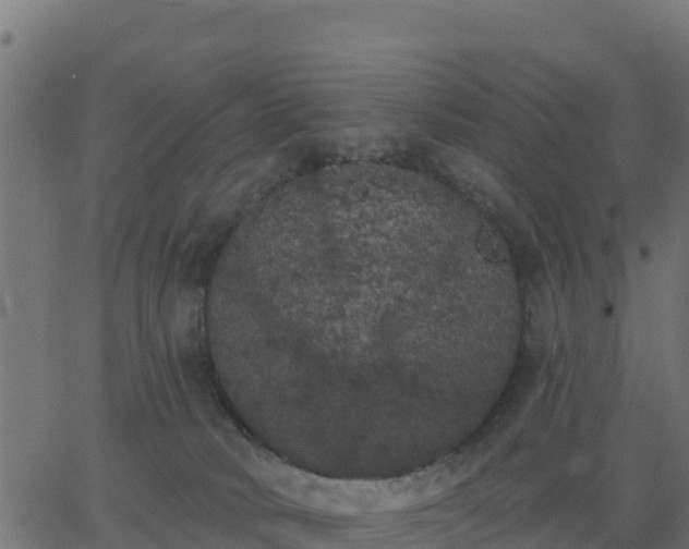 X0000062840034200601201649