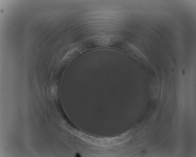 X0000062840035200601201649