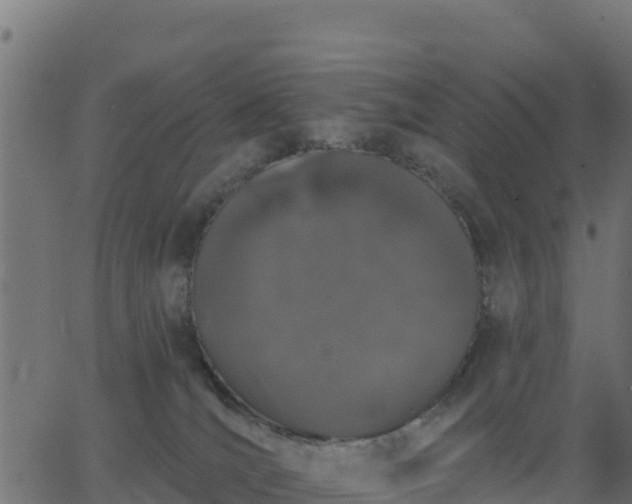 X0000062840036200601201649