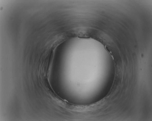 X0000062840037200601201649