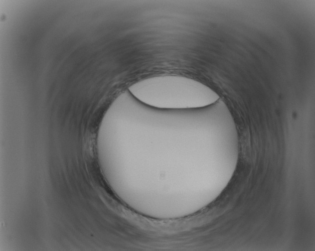 X0000062840038200601201649