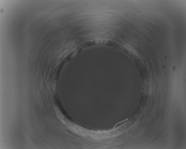 X0000062840039200601201649