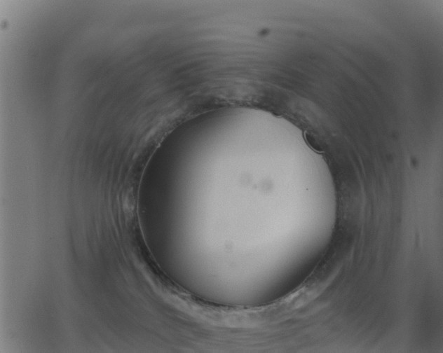 X0000062840040200601201649