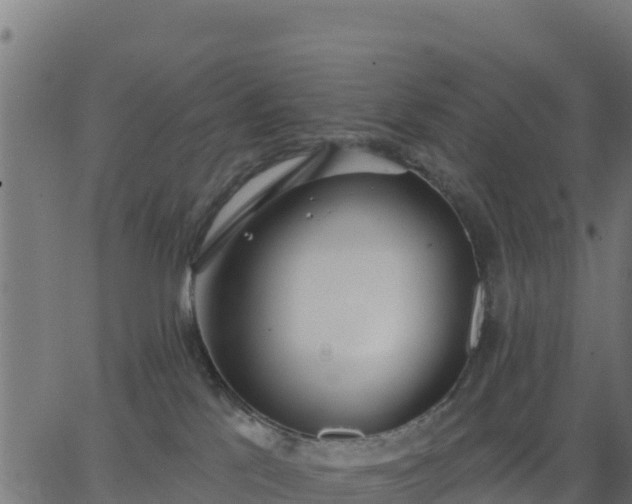 X0000062840041200601201649