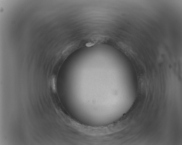 X0000062840042200601201649