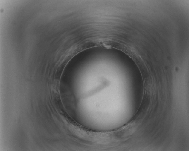 X0000062840044200601201649