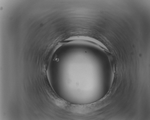 X0000062840045200601201649